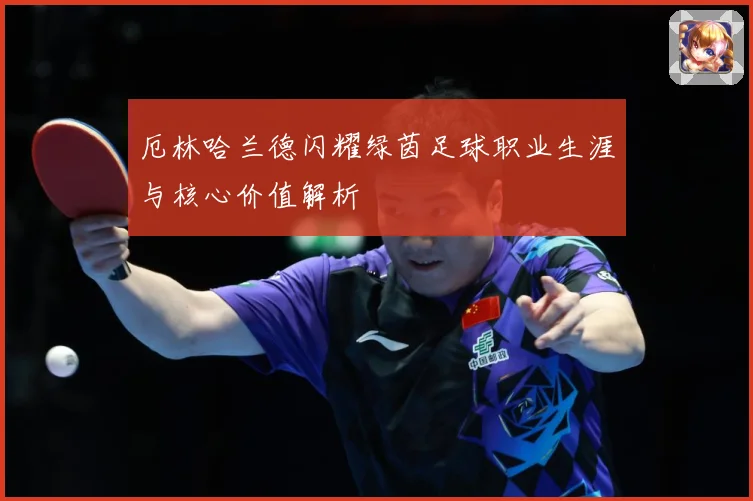 厄林哈兰德闪耀绿茵足球职业生涯与核心价值解析