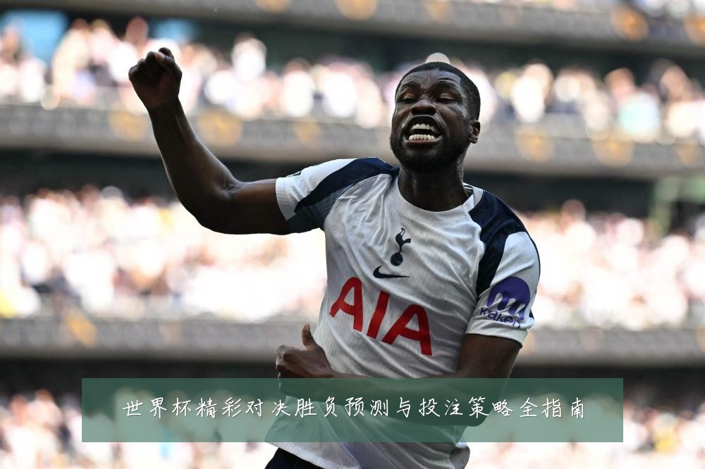 世界杯精彩对决胜负预测与投注策略全指南