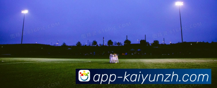 开云平台展示图