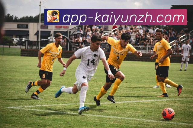 开云客户端下载与安装全流程指南详解操作步骤